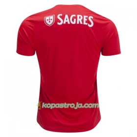 Billiga Fotbollströjor Benfica Hemma tröja 2018/19 Kortärmad